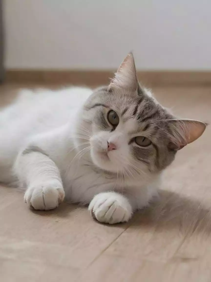 Milo