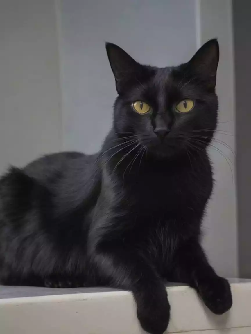 Oliver